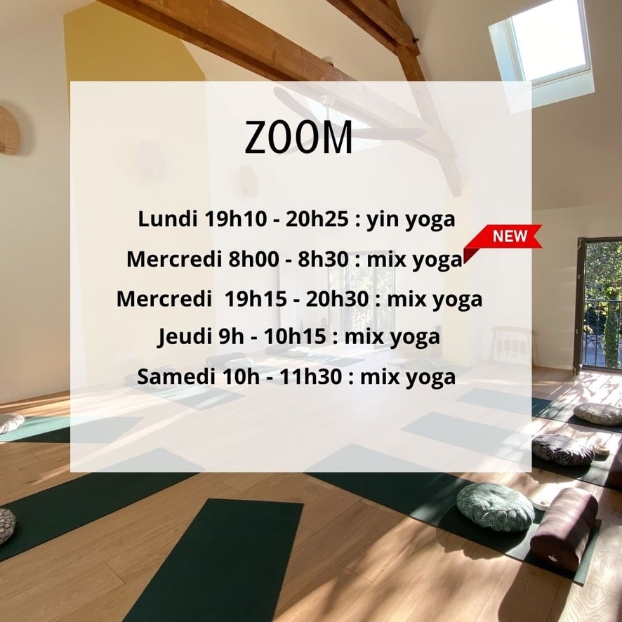 yoga zoom