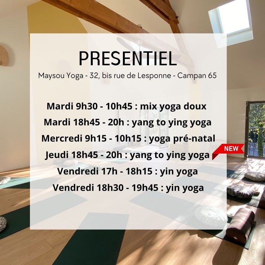 cours de yoga vinyasa hatha pranayama yin kriya kundalini